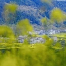 黄山旅游 缩略图 13