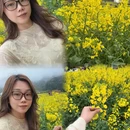 黄山旅游 缩略图 1