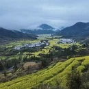 黄山旅游 缩略图 8