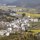 黄山旅游 缩略图 1