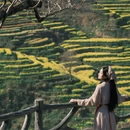 黄山旅游 缩略图 10