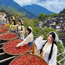黄山旅游 缩略图 10