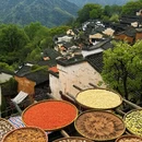 黄山旅游 缩略图 6