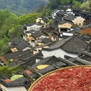 黄山旅游 缩略图 11