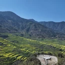 黄山旅游 缩略图 7