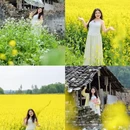 黄山旅游 缩略图 1