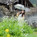 黄山旅游 缩略图 4