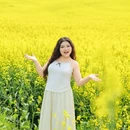 黄山旅游 缩略图 2