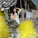 黄山旅游 缩略图 3