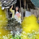 黄山旅游 缩略图 7