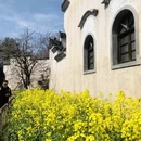 黄山旅游 缩略图 3