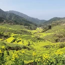 黄山旅游 缩略图 2