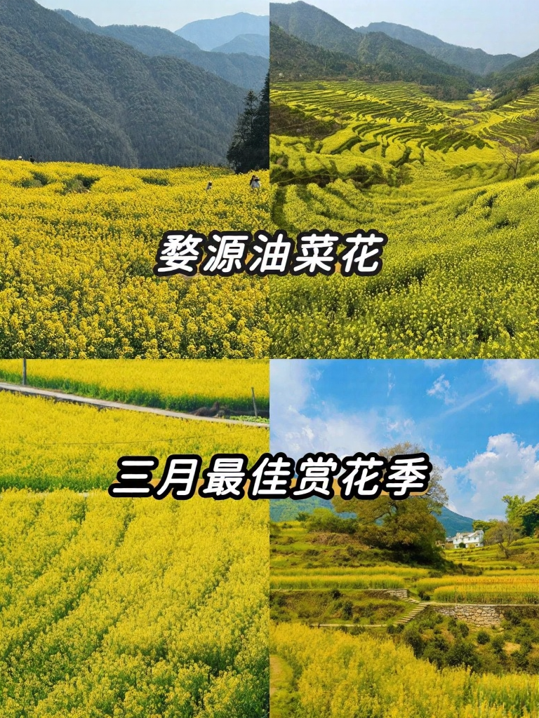 黄山旅游