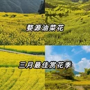 黄山旅游 缩略图 1