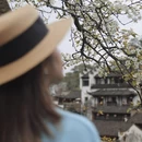 黄山旅游 缩略图 5