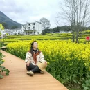 黄山旅游 缩略图 14