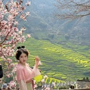 黄山旅游 缩略图 1