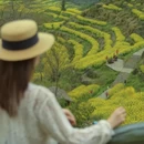 黄山旅游 缩略图 12