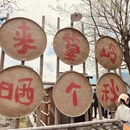 黄山旅游 缩略图 2