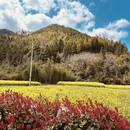 黄山旅游 缩略图 1
