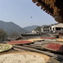 黄山旅游 缩略图 11