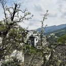 黄山旅游 缩略图 6