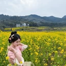 黄山旅游 缩略图 14