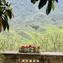 黄山旅游 缩略图 11