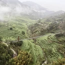 黄山旅游 缩略图 2