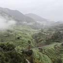 黄山旅游 缩略图 1