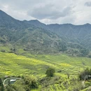 黄山旅游 缩略图 16