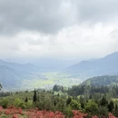 黄山旅游 缩略图 4