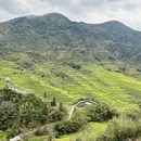 黄山旅游 缩略图 15