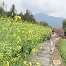 黄山旅游 缩略图 6