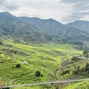 黄山旅游 缩略图 18