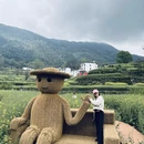 黄山旅游 缩略图 7