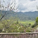 黄山旅游 缩略图 17