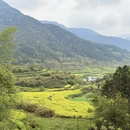 黄山旅游 缩略图 5