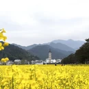 黄山旅游 缩略图 1