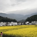 黄山旅游 缩略图 2
