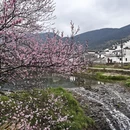 黄山旅游 缩略图 5