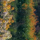 黄山旅游 缩略图 2