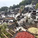 黄山旅游 缩略图 9