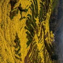 黄山旅游 缩略图 8