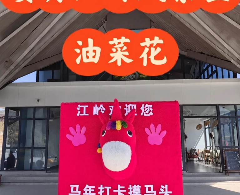 黄山旅游 1