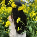 黄山旅游 缩略图 1