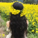 黄山旅游 缩略图 2