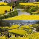 黄山旅游 缩略图 2