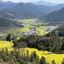 黄山旅游 缩略图 4