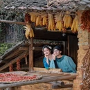 黄山旅游 缩略图 10